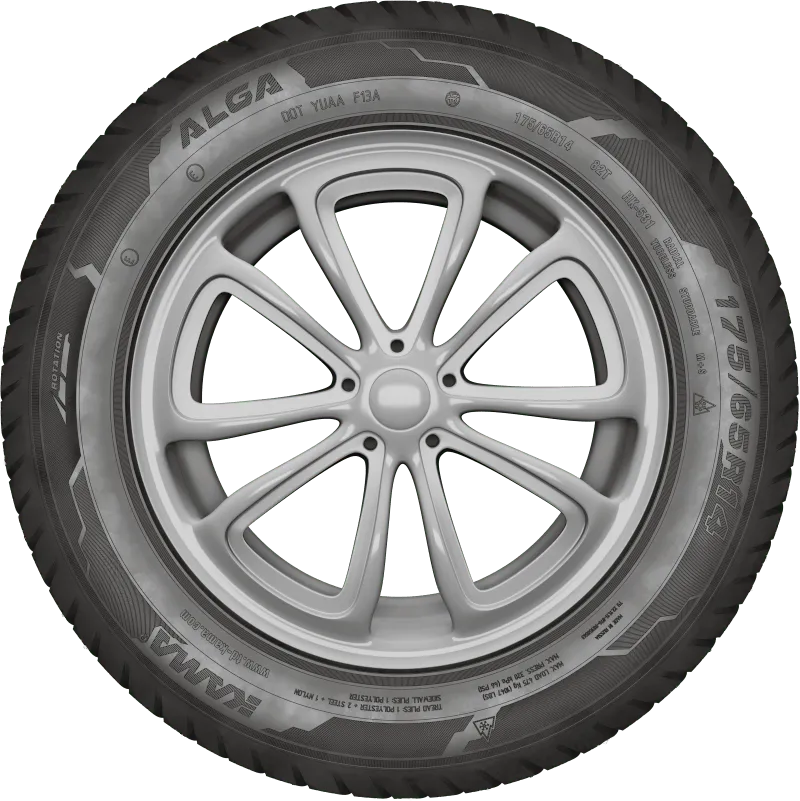 KAMA ALGA (НК-531) нешип в Красном Холме — KAMA TYRES KAMA ALGA (НК-531) нешип в Красном Холме